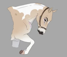 Submission thumbnail