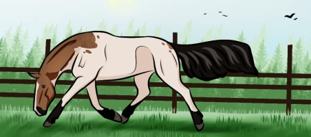 Submission thumbnail