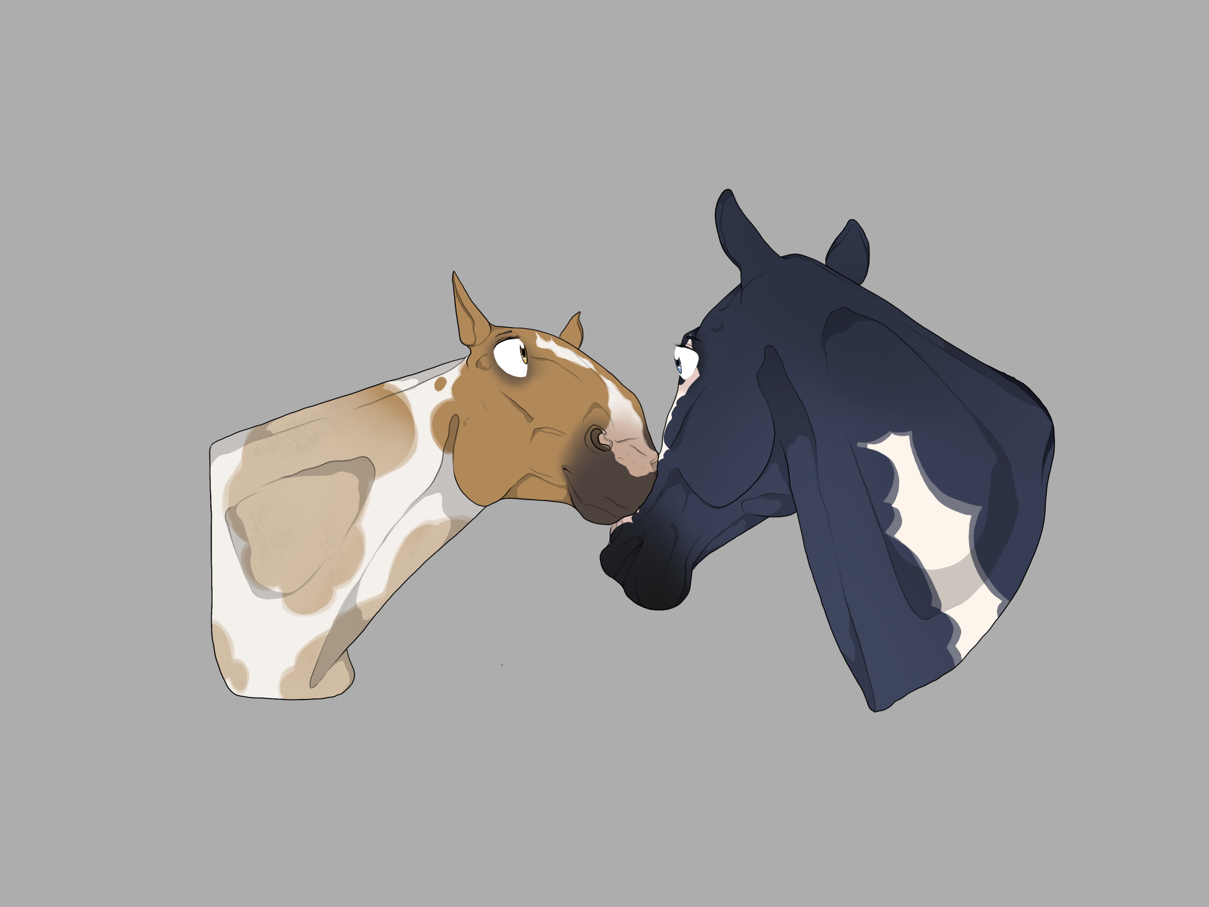 Click to view larger size BREEDING PIC