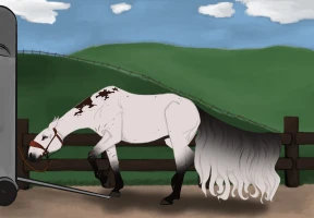 Submission thumbnail