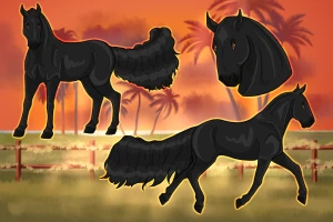 Submission thumbnail