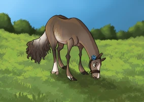 Submission thumbnail